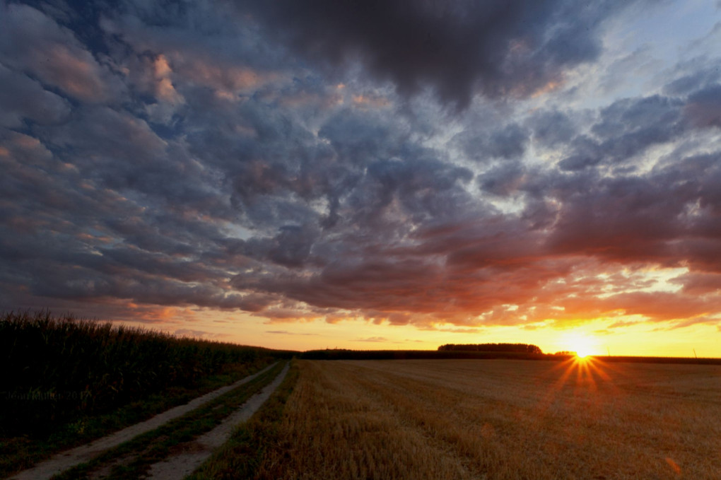 Sunset sky in the countryside2